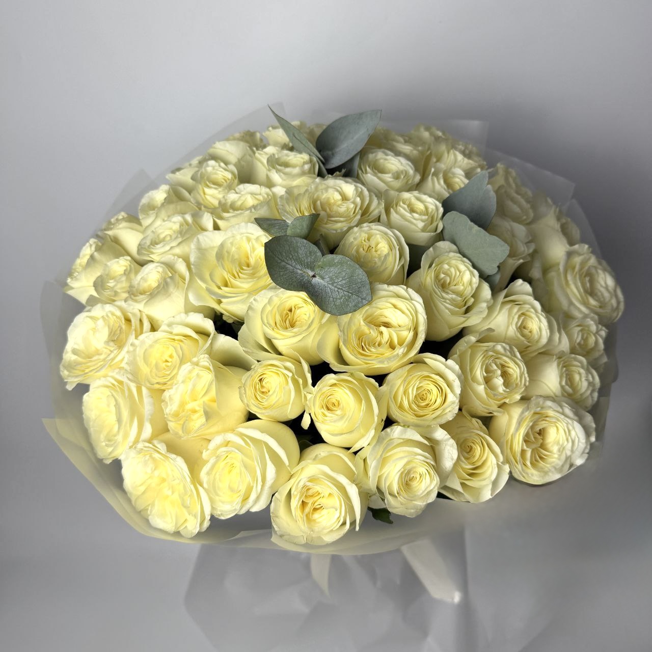 Букет троянд Іванна 49 шт (50см) image