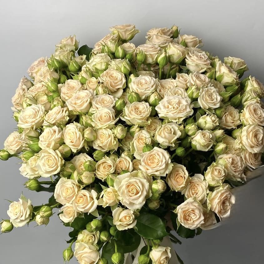 Букет троянд кущових Таня 19 шт image