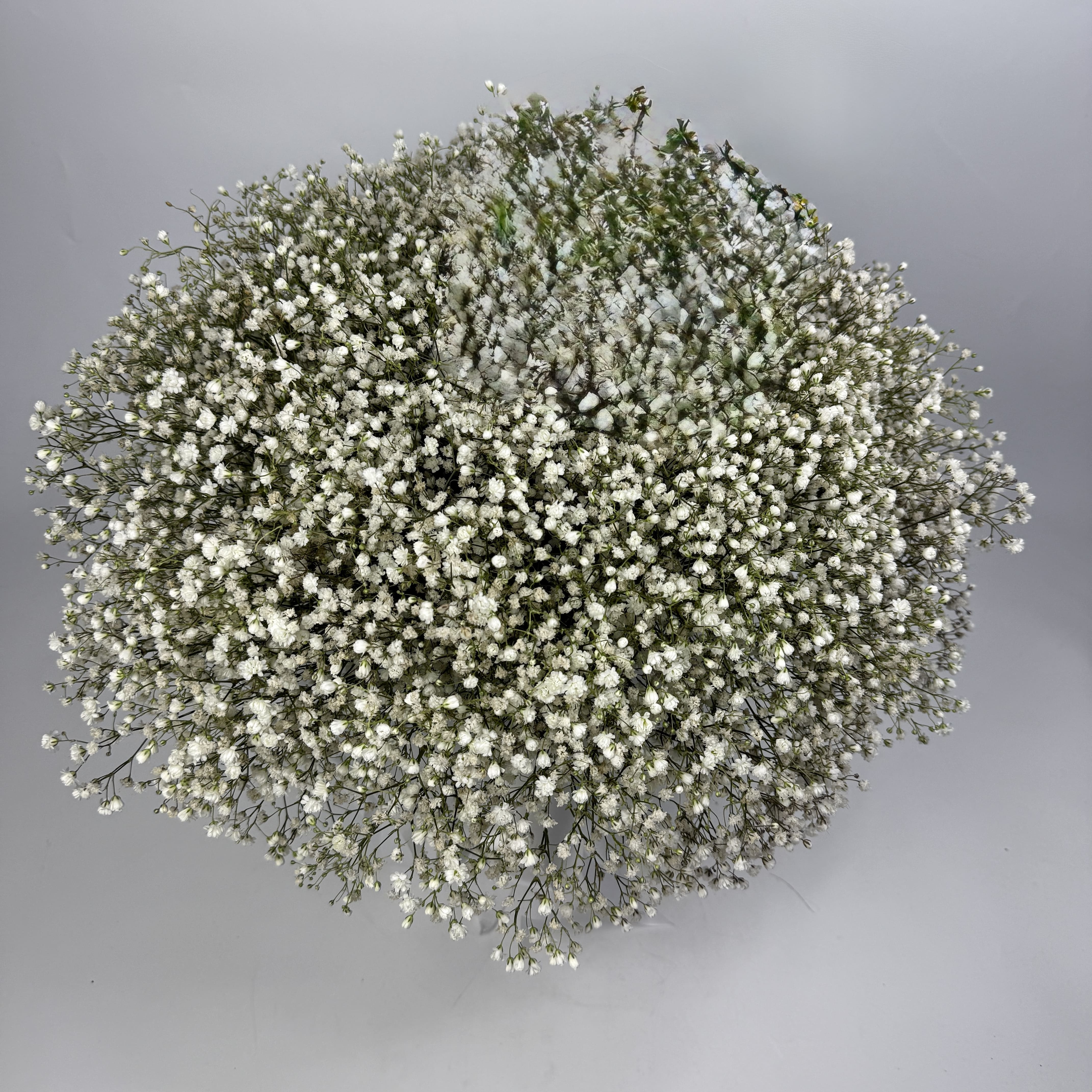 Букет гіпсофіли білої image