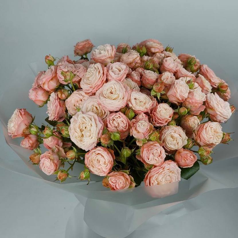 Букет троянд Мадам Бомбастік 15 шт: Кущові троянди (Рожевий) - 15.