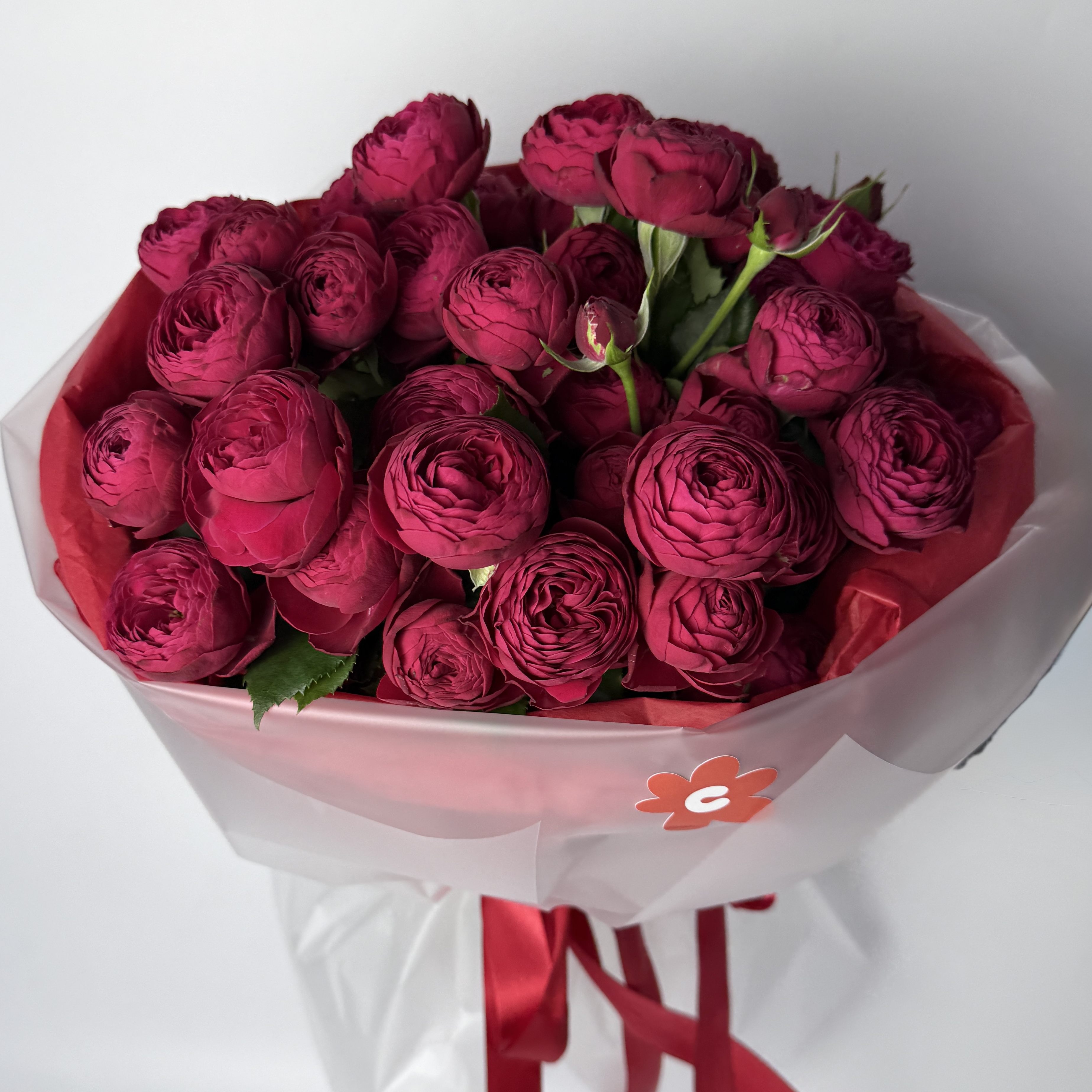 Букет троянд Чері Трендсеттер 7 шт image