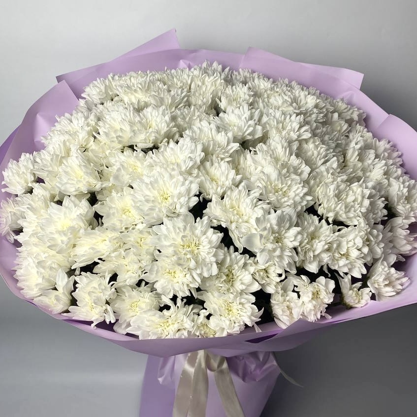 Хризантема Балтика біла 21 шт image
