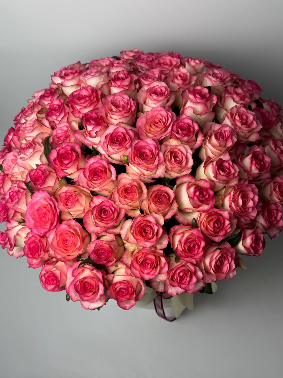 Букет троянд Джумілія 101 шт в коробці: Троянди (Рожевий) - 1
Композиції (Рожевий) - 101.