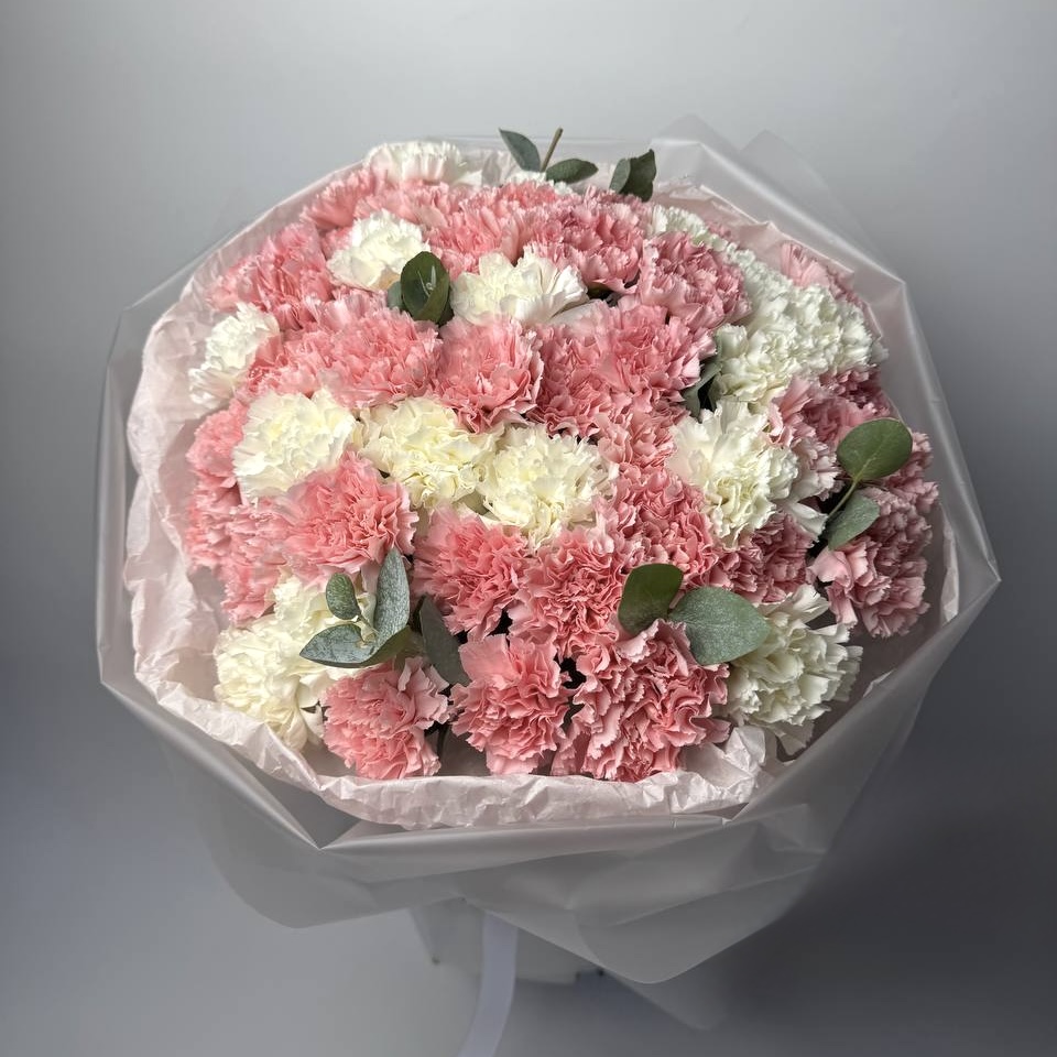 Мікс діантусів 51 шт image