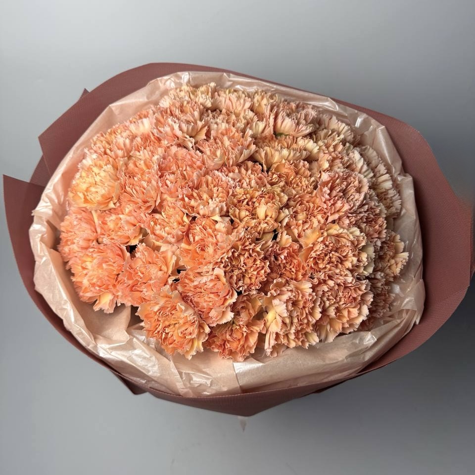 Букет діантусів помаранчевих 51 шт image