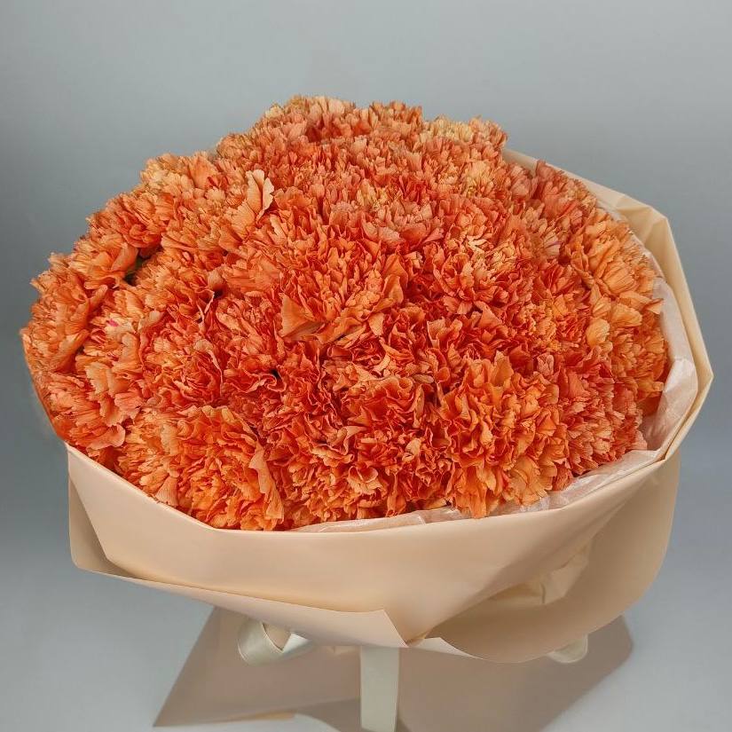 Букет діантусів помаранчевих 51 шт: Діантуси (Жовтий) - 51.