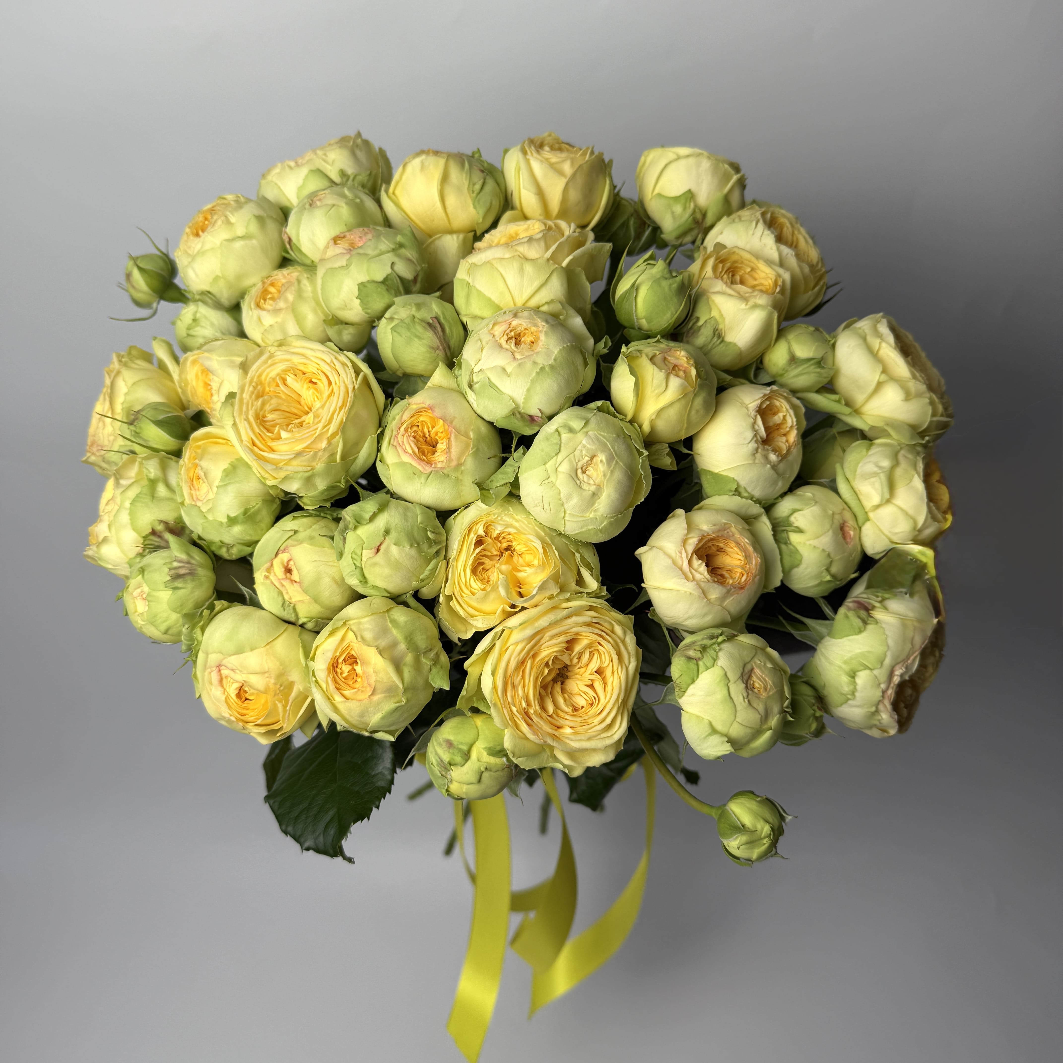 Піоні баблз 15 шт image