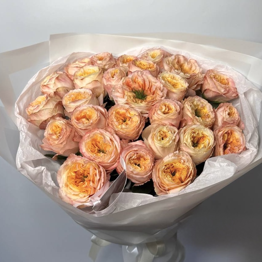 Букет троянд Мелон Експрешн 25 шт: Імпортна троянда (Персик) - 25.