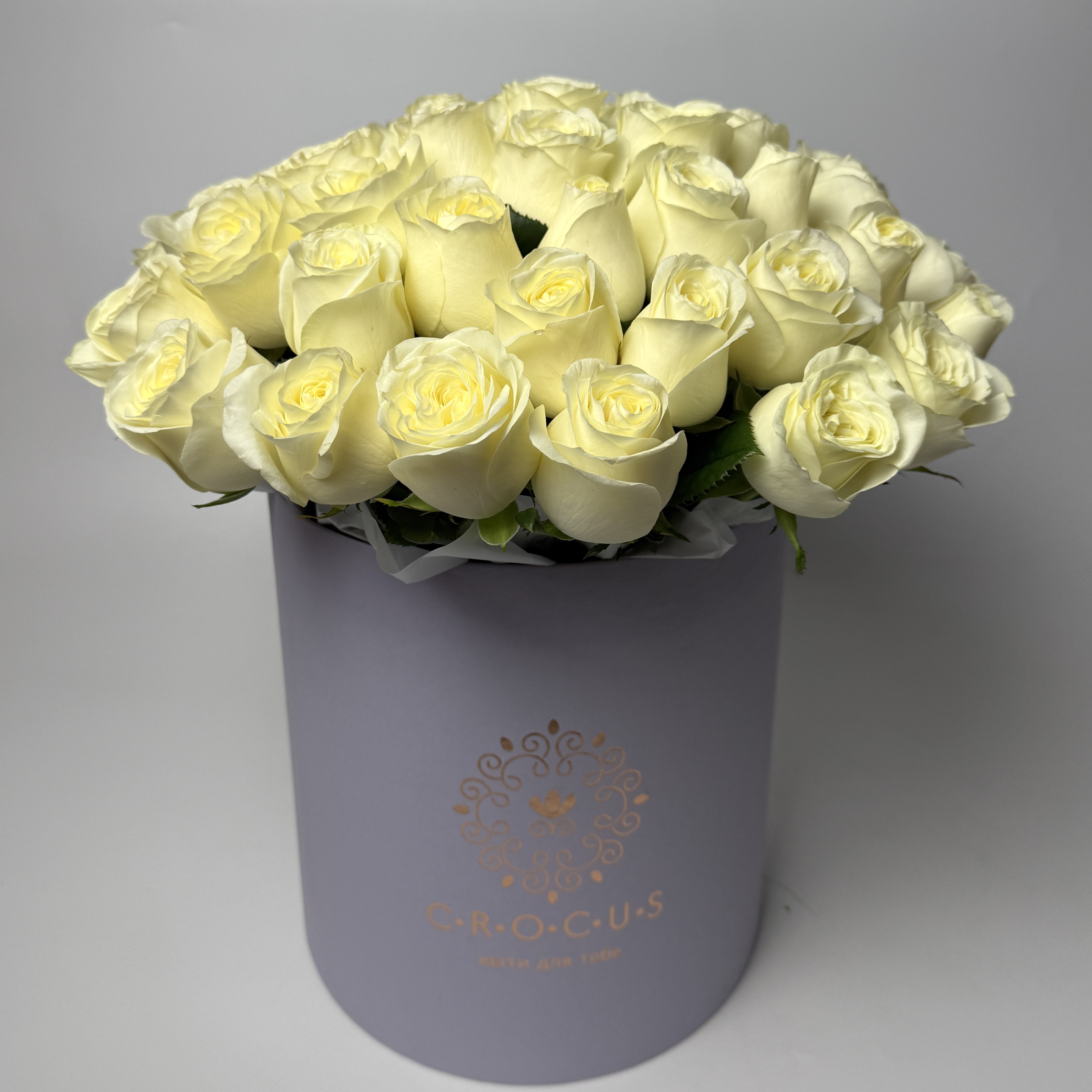 Букет троянд Іванна 51 шт image