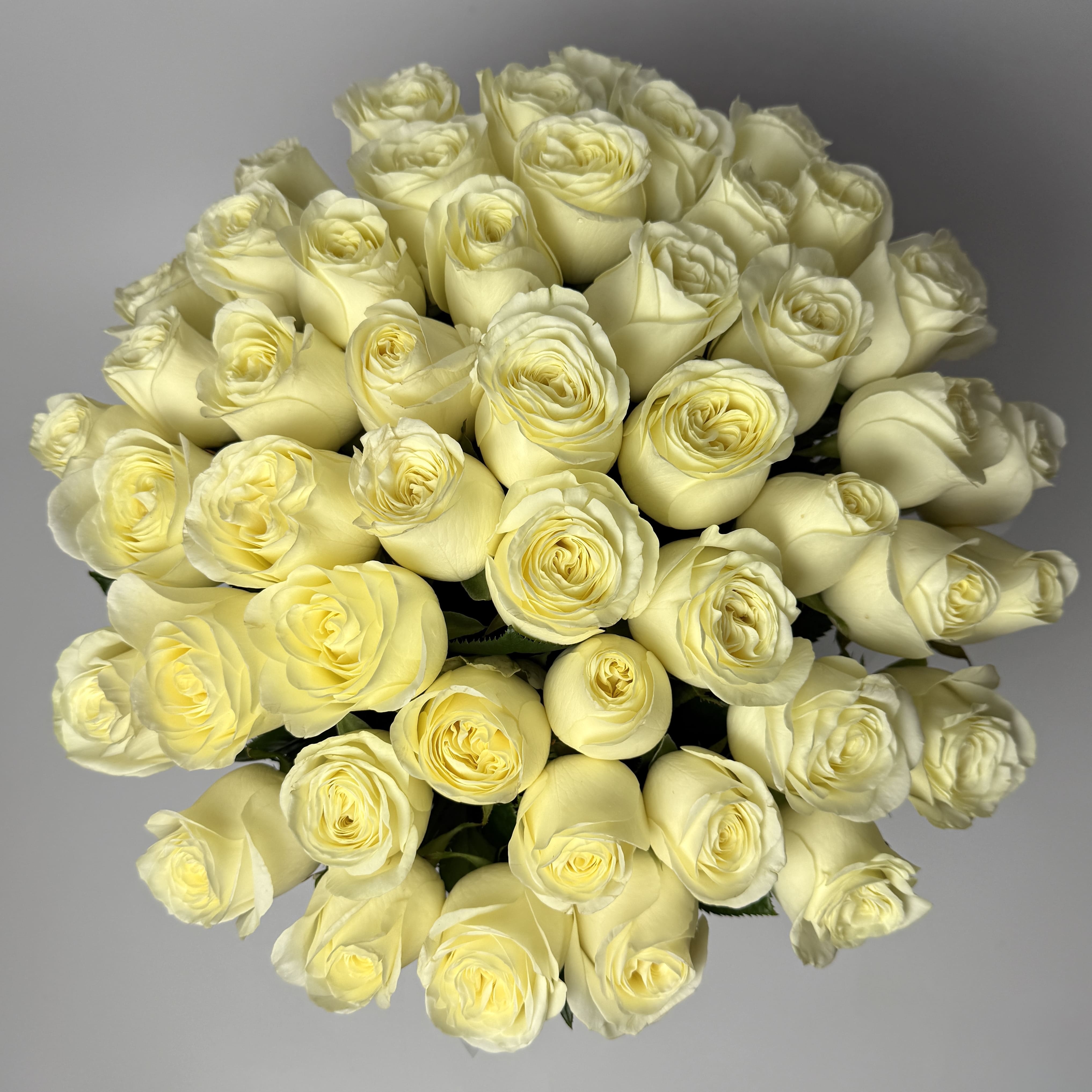 Букет троянд Іванна 51 шт: Композиції (Білий) - 51.