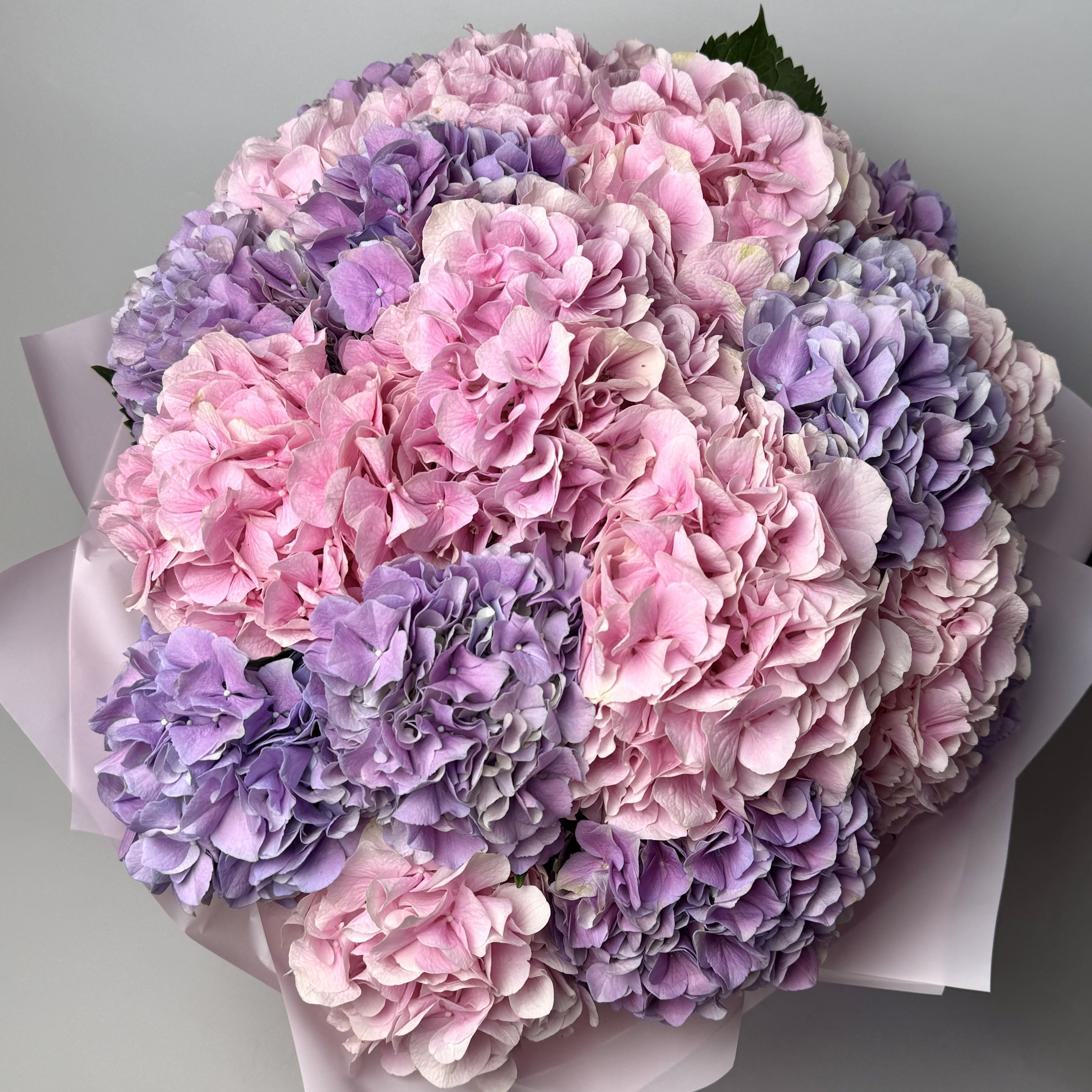 Букет гортензій мікс 19 шт image