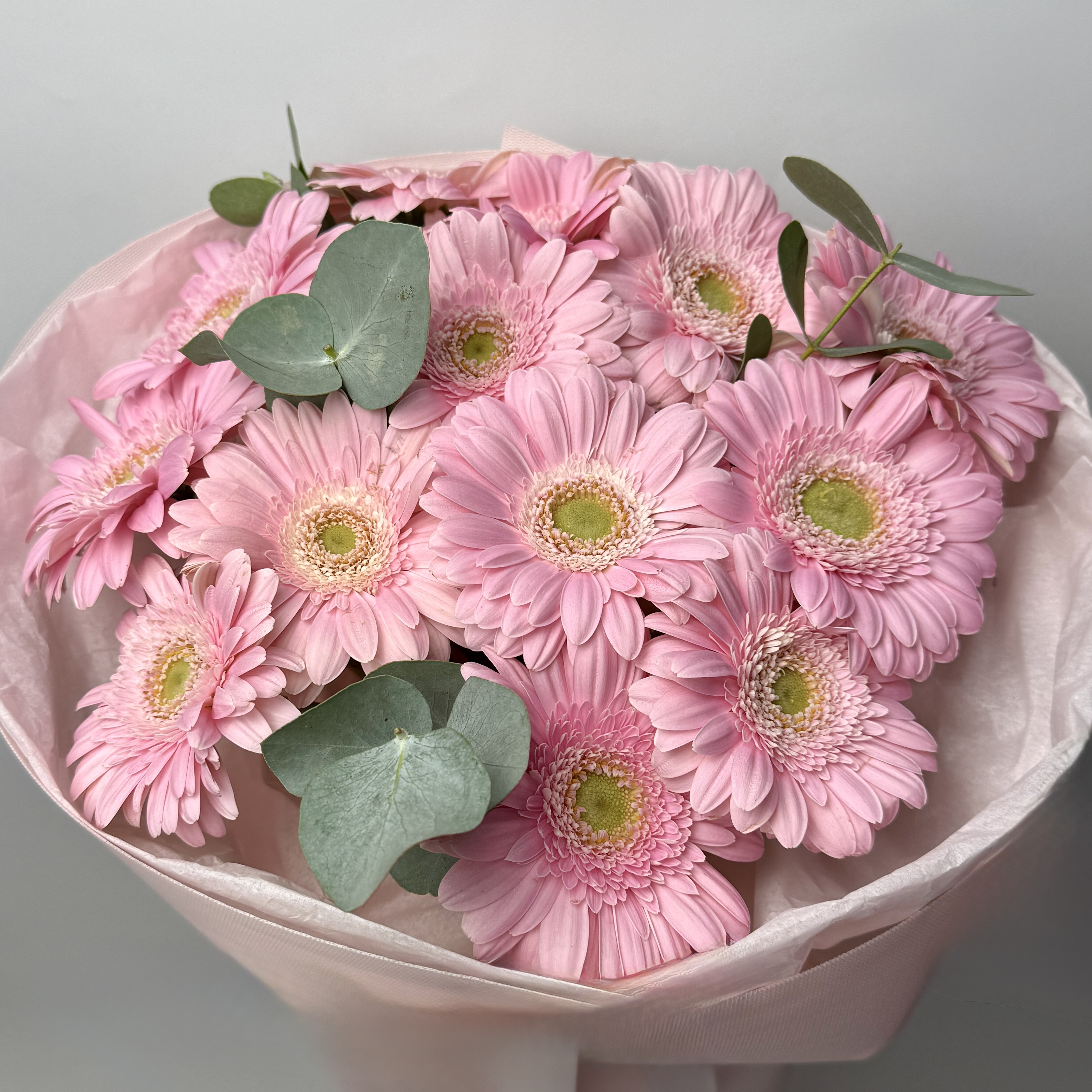 Букет гербер рожевих 13 шт, евкаліпт image