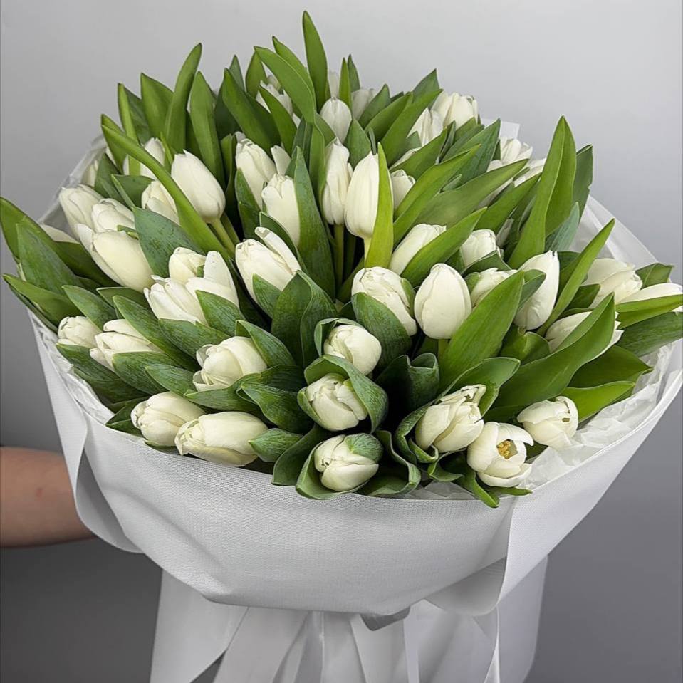 Букет тюльпанів білих 65 шт image