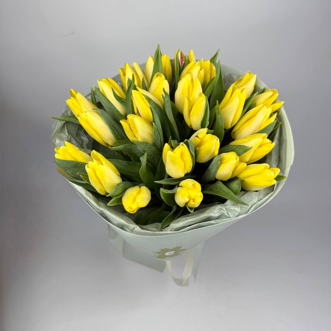 Тюльпан жовтий 25 шт image