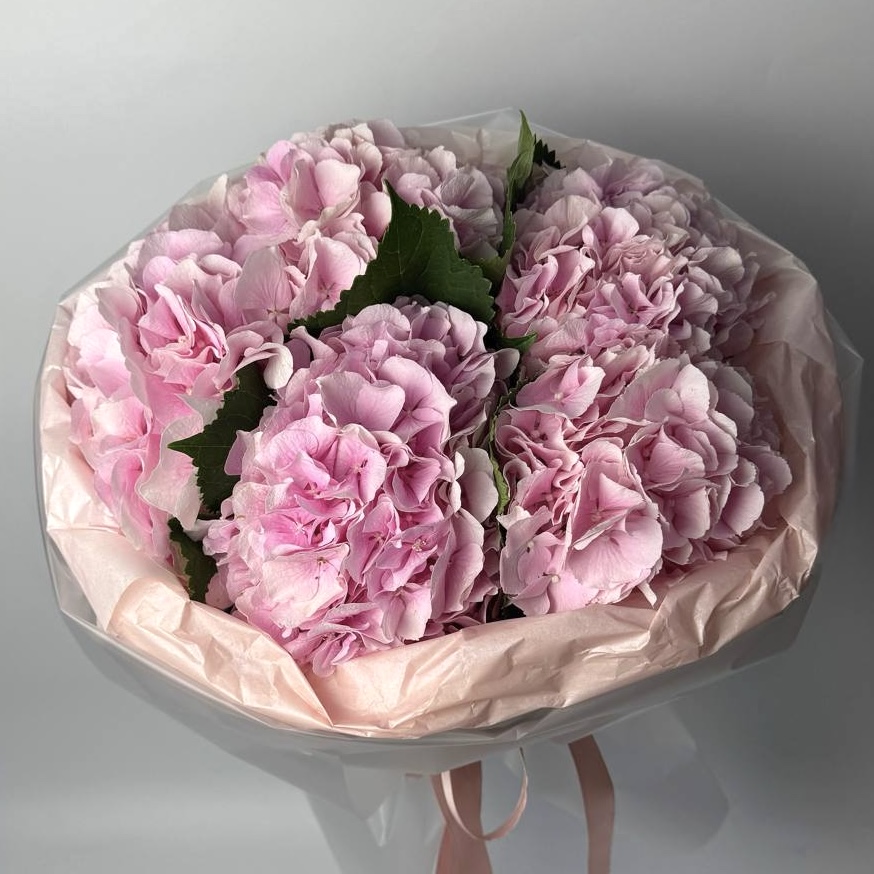 Букет Гортензій 5 шт image