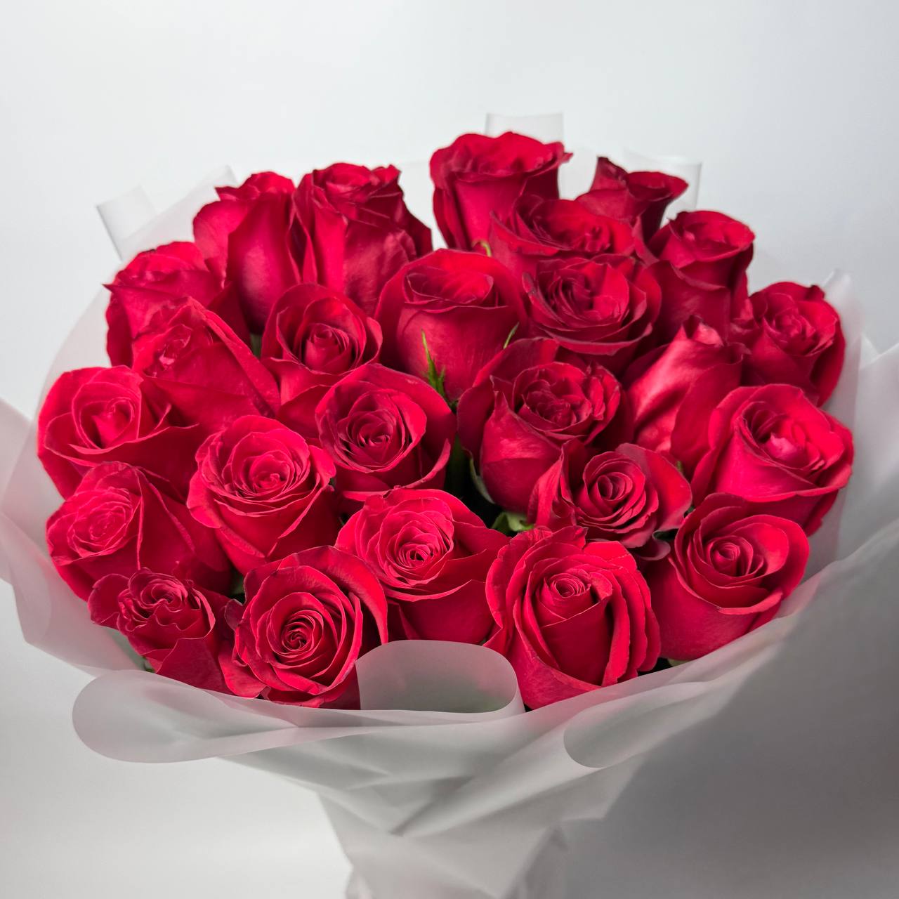 Букет троянд Фрідом 25 шт 80см image