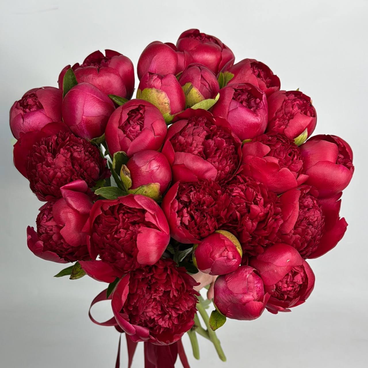 Букет червоних півоній 23 шт image