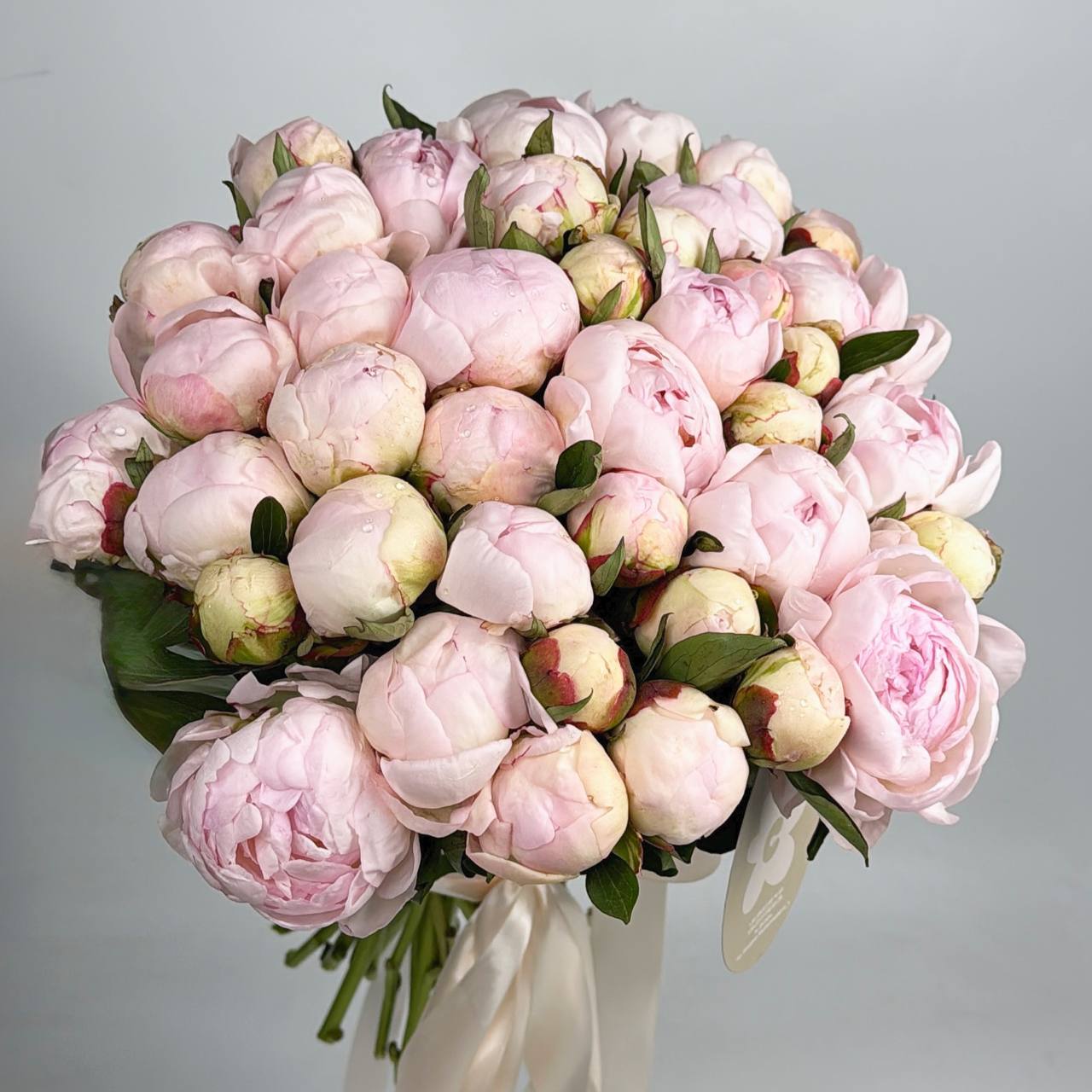 Букет світло-рожевих півоній 45 шт image