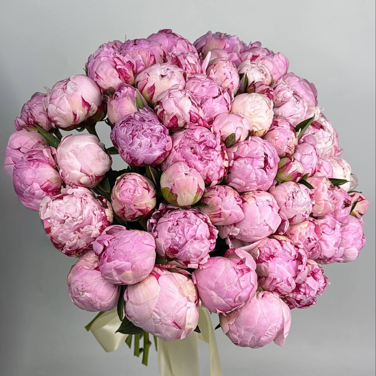 Букет рожевих півоній 49 шт image