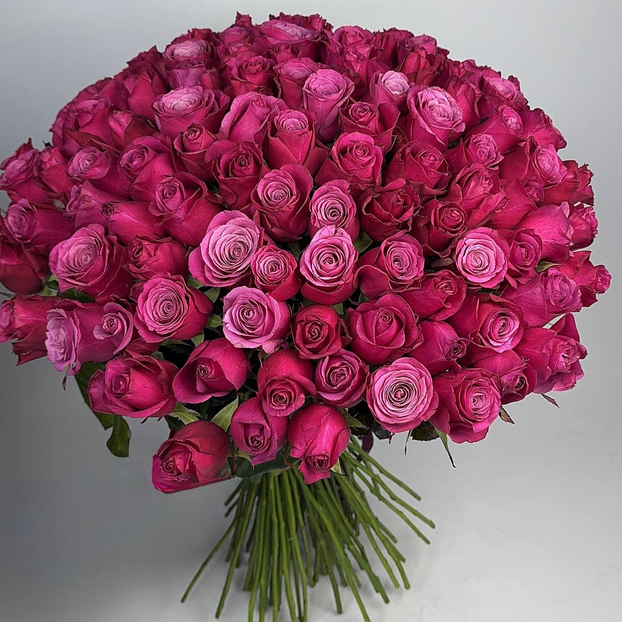 Букет троянд принц Персії 101 шт image
