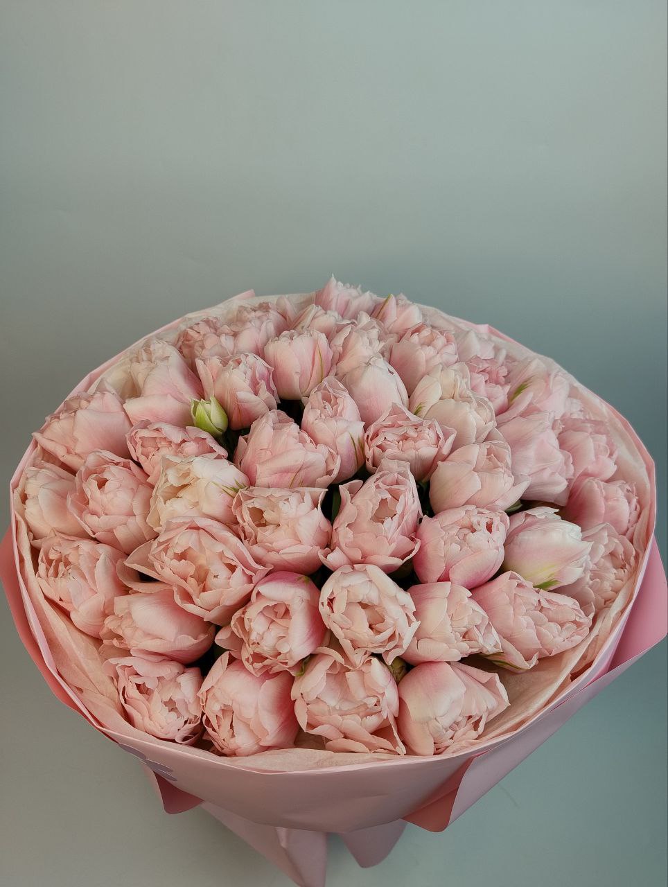 Букет рожевих піоновидних тюльпанів 49шт image