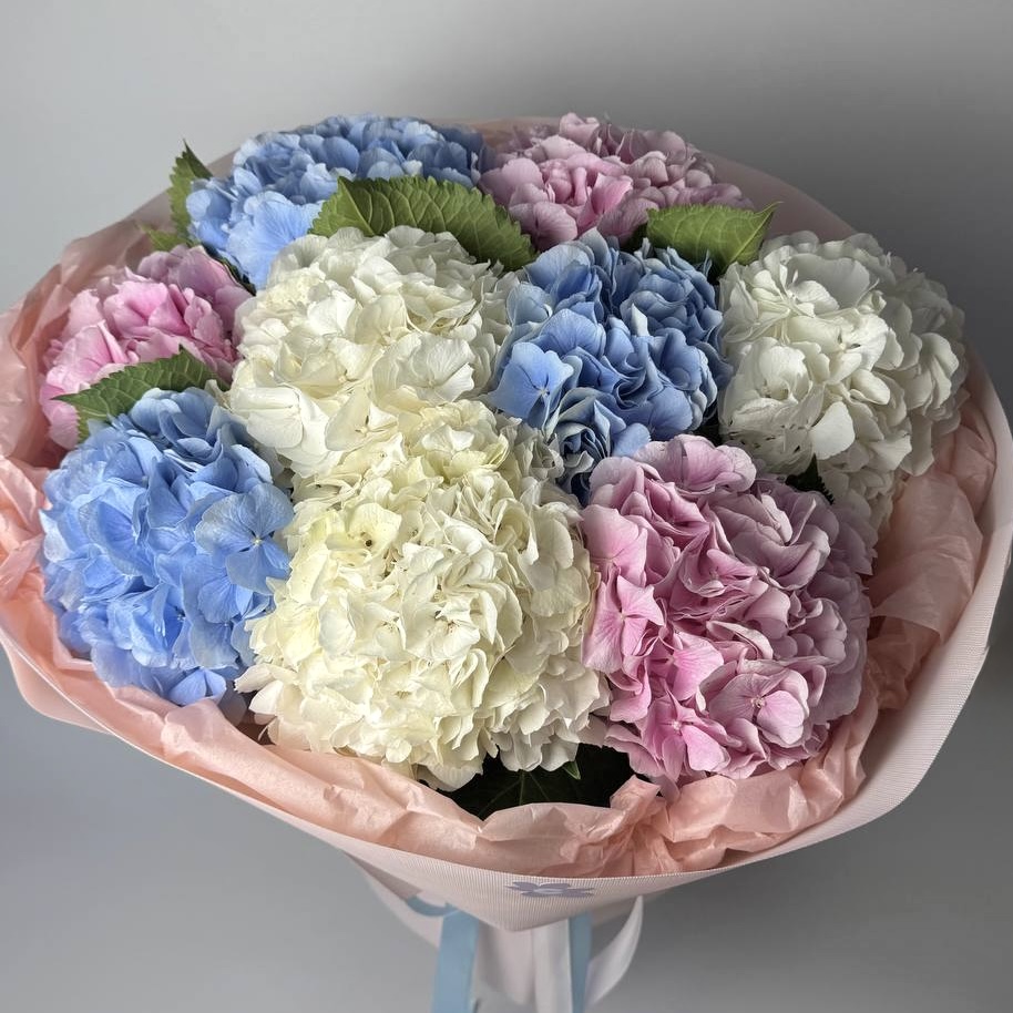 Букет гортензій мікс 9 шт image