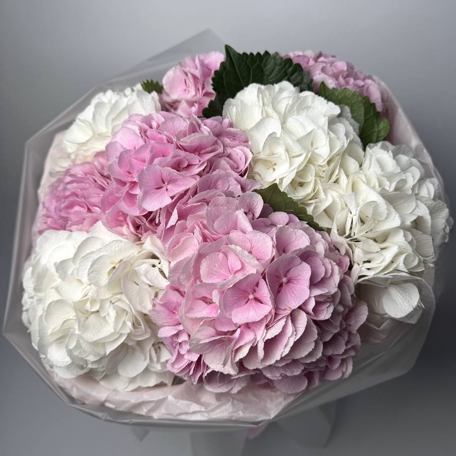 Букет гортензій мікс 9 шт: Гортензія (Мікс) - 9.