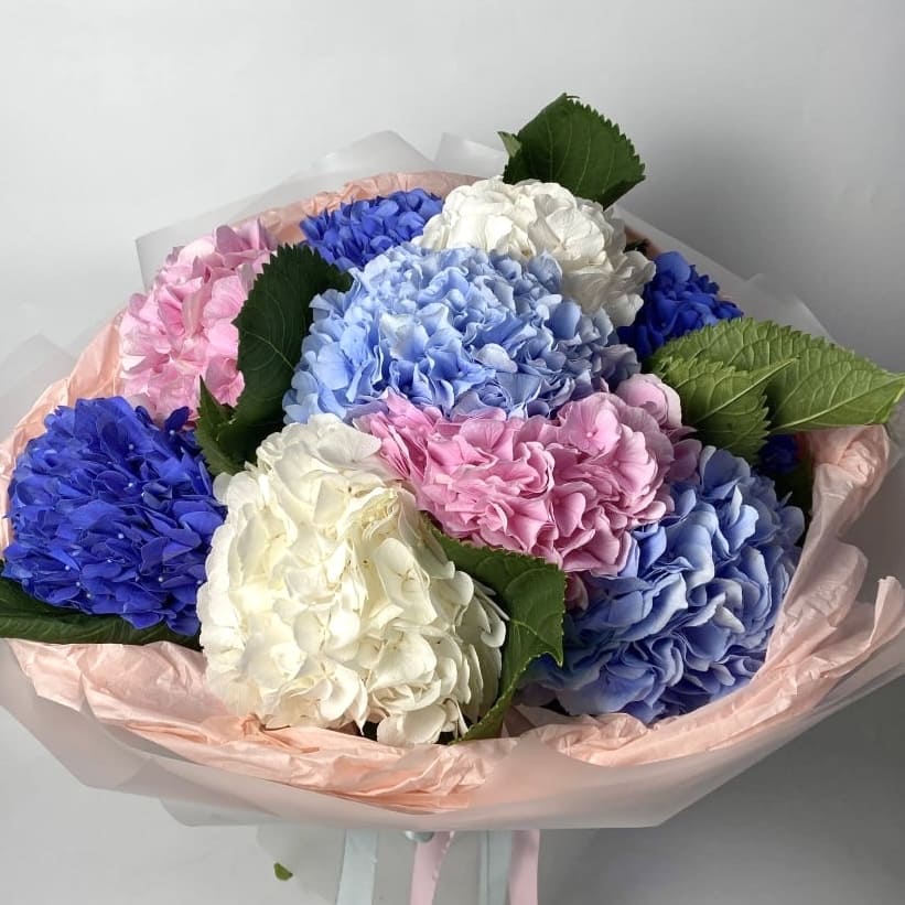 Букет гортензій мікс 9 шт: Гортензія (Мікс) - 9.