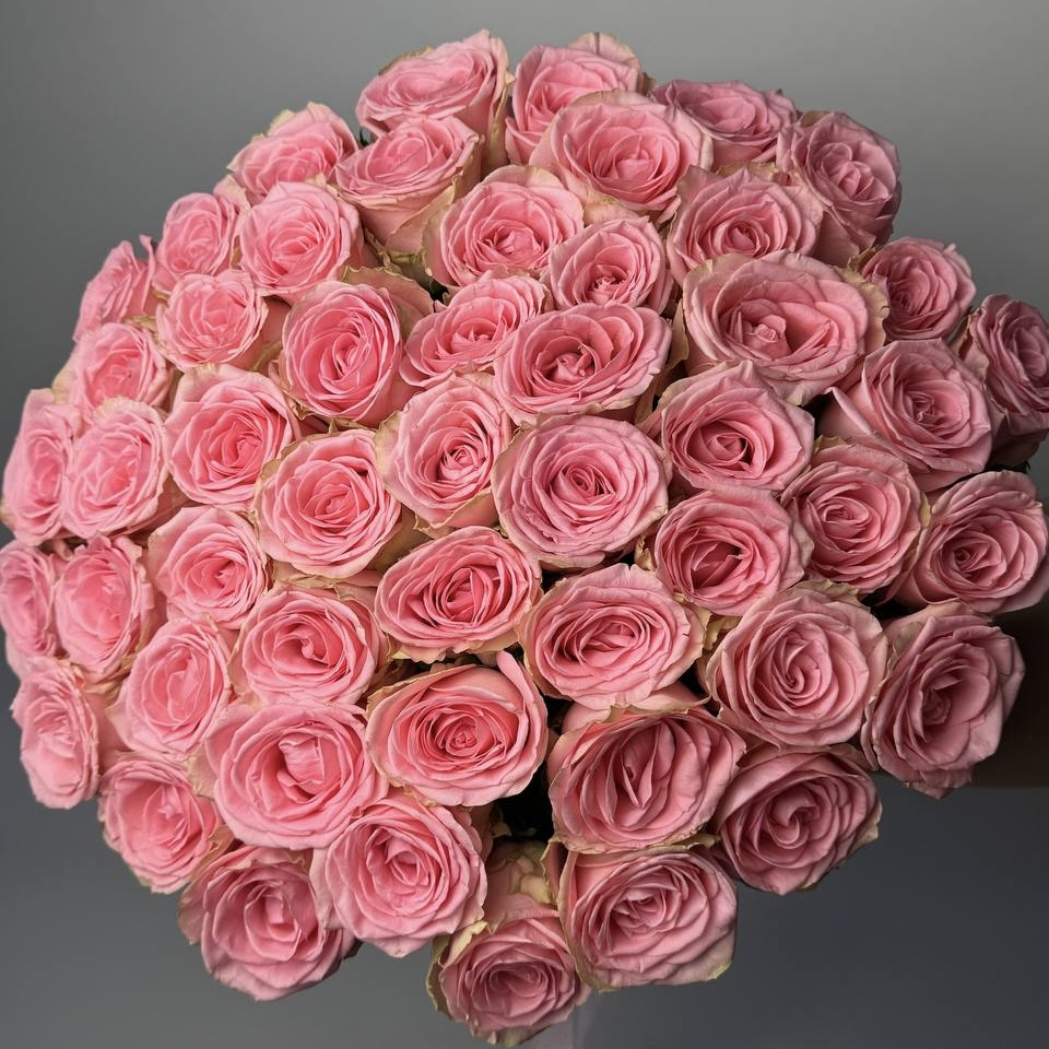 Букет троянд Софі Лорен 51 шт (80см): Троянди (Рожевий) - 61.