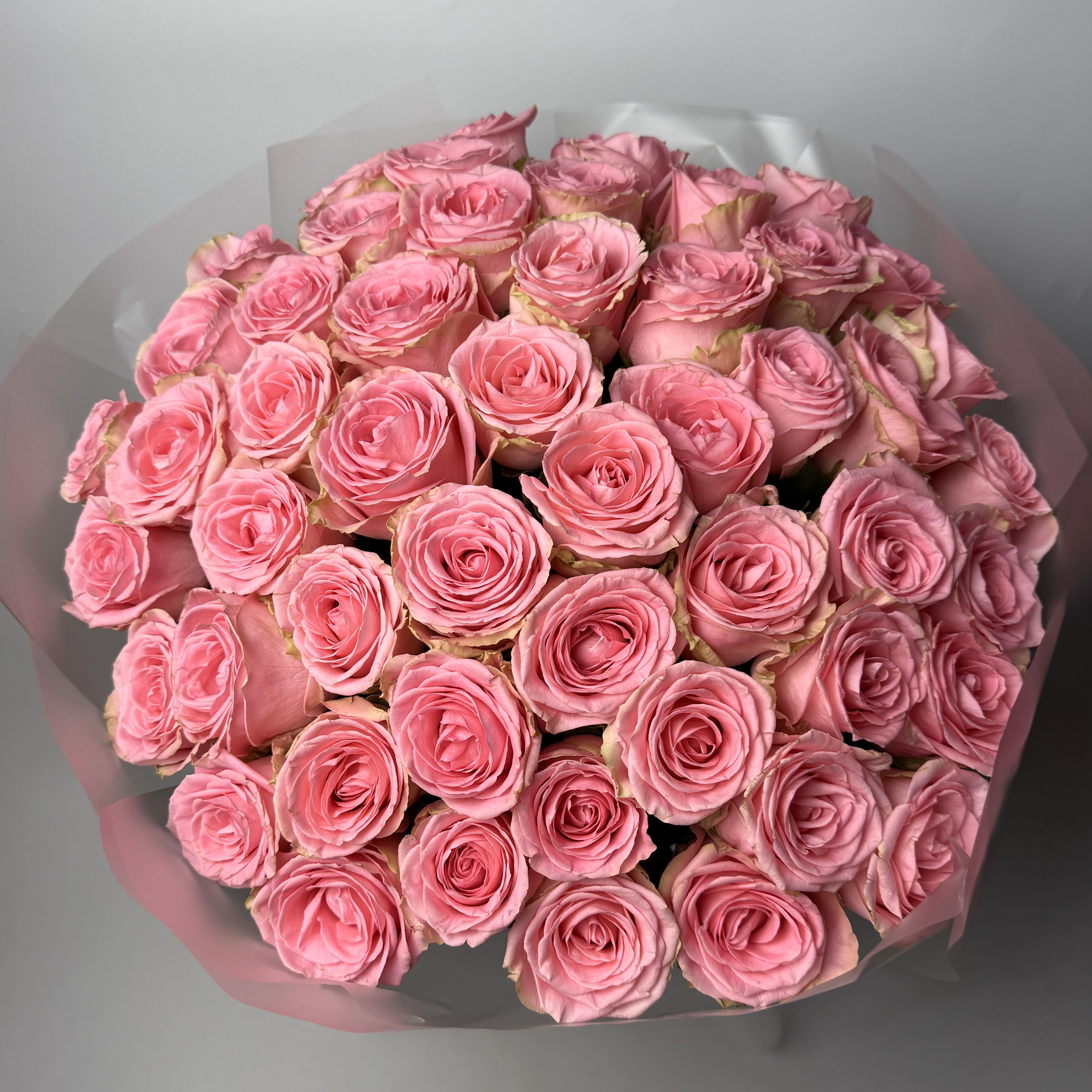 Букет троянд Софі Лорен 51 шт (80см) image