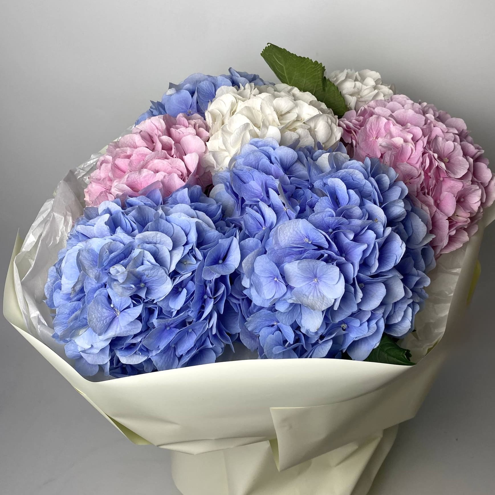 Букет мікс гортензій 7 шт: Гортензія (Мікс) - 7.