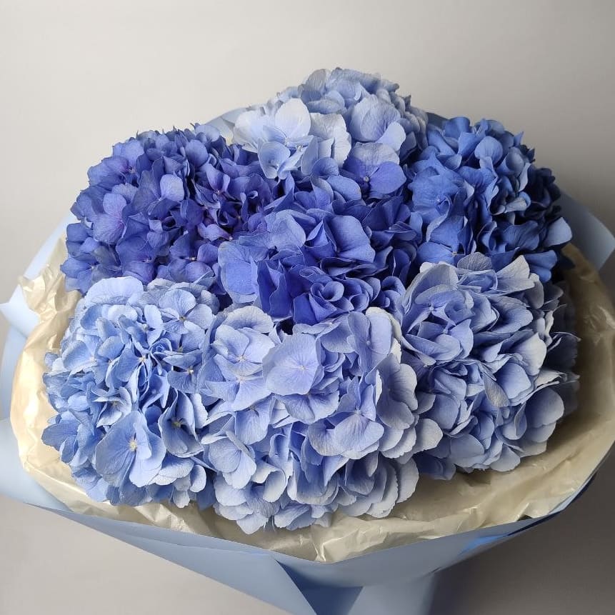 Букет мікс гортензій 7 шт: Гортензія (Мікс) - 7.